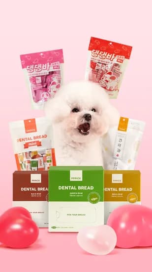 피피픽 치석제거 덴탈브레드 대용량 40P (18,500원/무배)