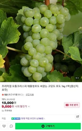 오톰크리스피 고당도 애플청포도 500g 팩 (8,000원/무료)1