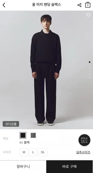 울 이지 밴딩 슬랙스 (26,300원/무료)