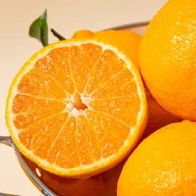 제주직송 서귀포 노지 한라봉 10kg (22,250원/무배)