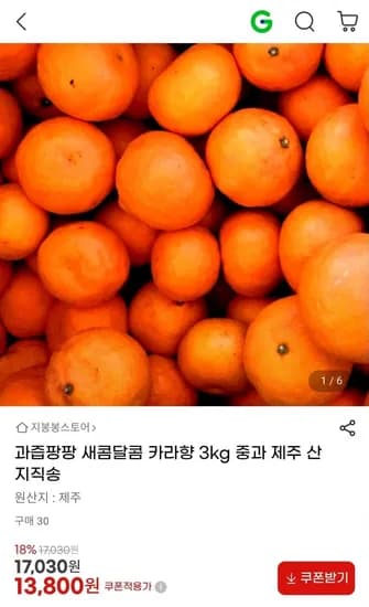 카라향 중과 kg (13,800원/무배)3