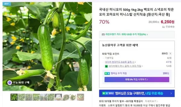 국내산 미니 스낵오이 1kg(8,850/무배)