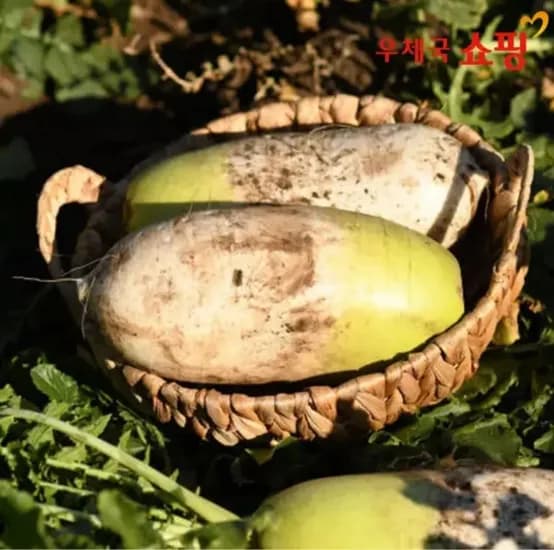 국내산 황토밭 아삭한 무우10kg (5,980원/무료)