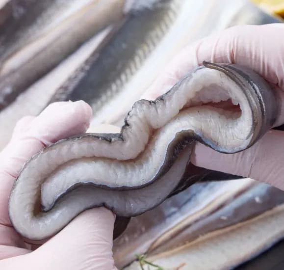 국산 자포니카 민물장어 1kg 손질 후 700g (17,310원/무료)