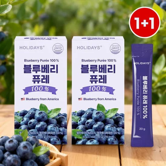 홀리데이즈 블루베리 퓨레 14포 2박스