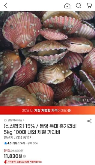 통영 특대 홍가리비 5kg (1,830원/무료)1