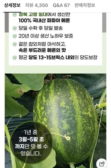 파파야 메론 2kg 3~6입