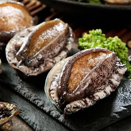 해신수산 완도활전복 특 0-11미 1kg (18,100원/무료)1