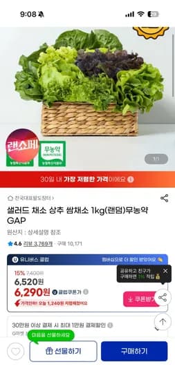 무농약 샐러드채소 1kg(랜덤) (6,520원/무료배송)