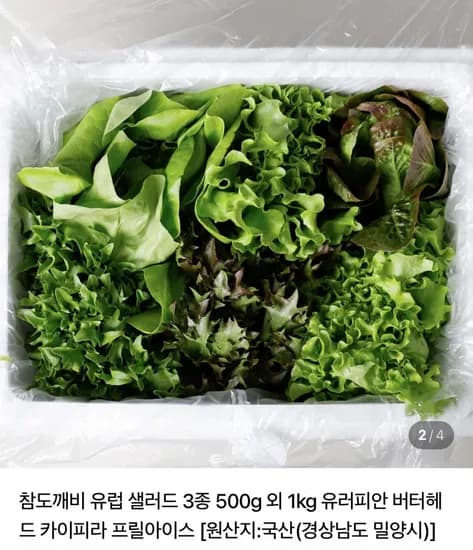 참도깨비 유럽샐러드 500g+500g 총 1kg (5,600원/네멤무배)