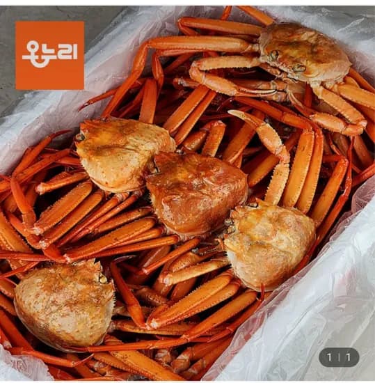 구룡포 홍게 자숙6kg (18,640원/무료)