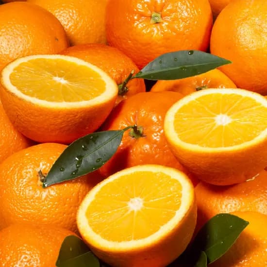 블랙라벨 오렌지 M 중과 10개