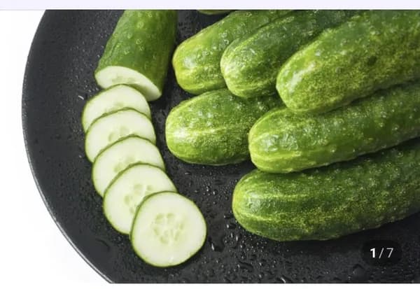 백다다기오이 특품 2kg 6~11개