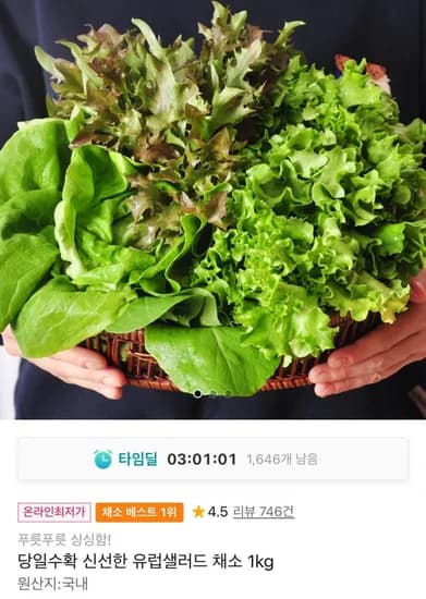 당일수확 신선한 유럽샐러드 채소 1kg (페이코 4,570원/무료)