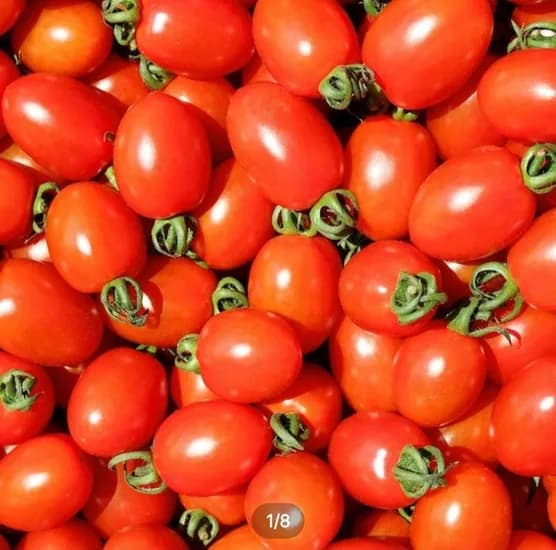 대추방울토마토 2kg