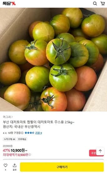 대저 토마토 주스용 2.5kg (8,900원/무료)