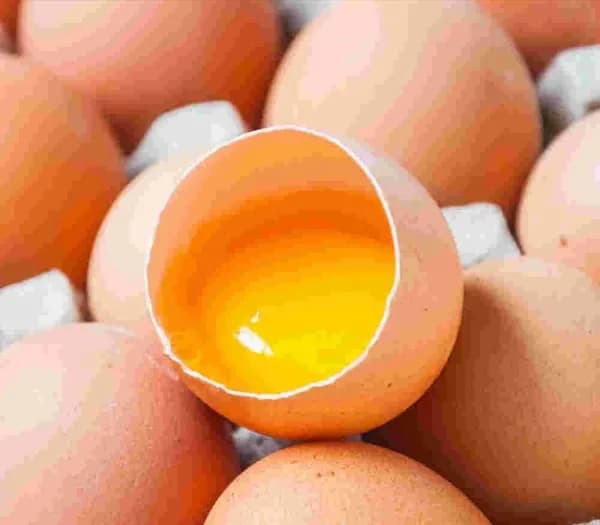 무항생제 특란 30구 (6,240원/네멤무배)