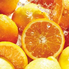 고당도 네이블 블랙라벨 오렌지 5kg 특대과 14과 내외 (17,900원/무료)