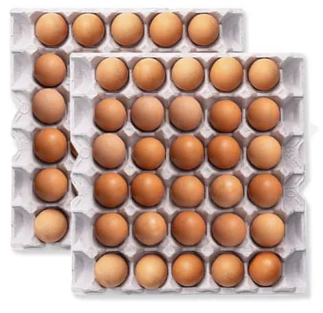 구운란 60구 대란 2판 (토스 13,963원/무배)