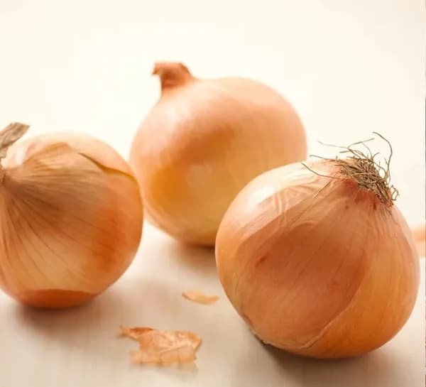 26년 무안 햇양파 5kg 중