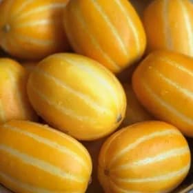 성주 꿀참외 2kg