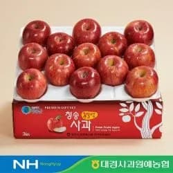 청송 가정용 부사 사과 3kg 12-15과 외 다양