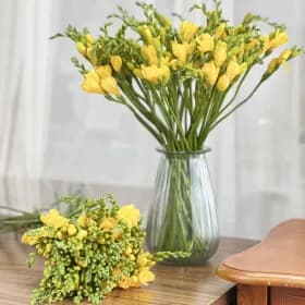 프리지아 생화16~20송이 (8,90원/무료)3