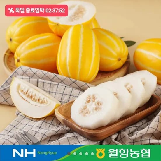 성주월항농협 꿀 참외 로얄과 2kg (15,900원/무료)