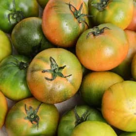 대저토마토 2.5kg 대과