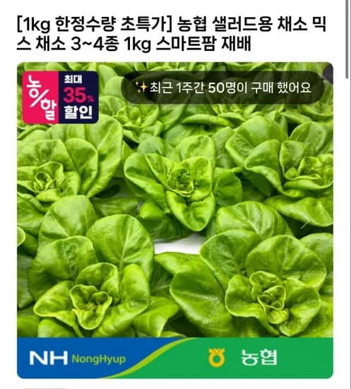 농협 샐러드용 채소 믹스 채소 3~4종 1kg (4,940원/무료)