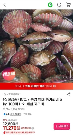 통영 특대 홍가리비 5kg 100미 내외 당일작업 (11,70원/무료)2