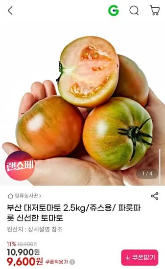 부산 대저토마토 2.5kg 쥬스용