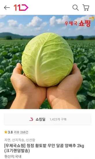 청정 황토밭 무안 달콤 양배추 2kg (4,560원/무료)