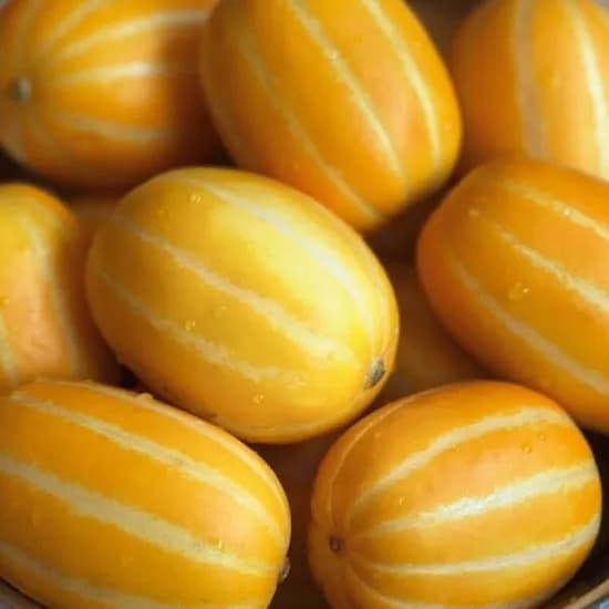 역대급 당도 초달달 성주 꿀 참외 2kg 혼합과 기스과 (5~0과 내외)(14,350/무료)1