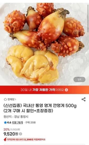 국내산 통영 멍게 깐멍게 500g (9,520원/무배)