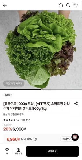 당일수확 유러피안 샐러드 1kg (6,960원/무배)