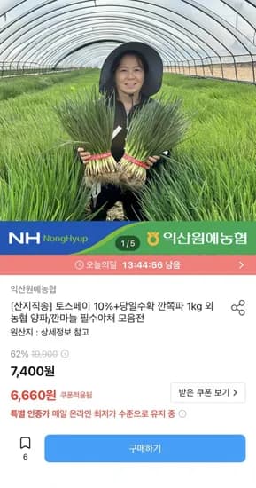 당일수확 깐쪽파 1kg (6,660원/무료)