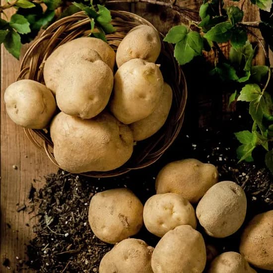 국내산 감자 대 5kg