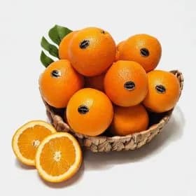 블랙라벨 고당도 오렌지 (소과) 15입 2.2kg내외 (10,710원/무료)