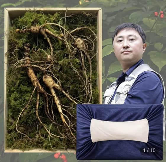 10년근 산양삼 3뿌리 선물세트