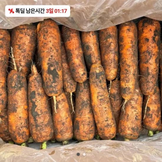 제주 구좌당근 쥬스용5kg (7,300원/무료)
