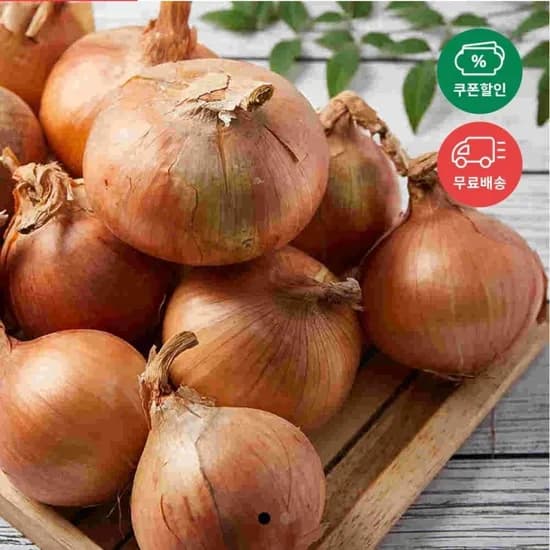 양파5kg (3,400원/무료)