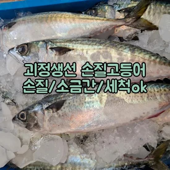 제철 국내산 손질 고등어 6팩  (19,920원/무료)