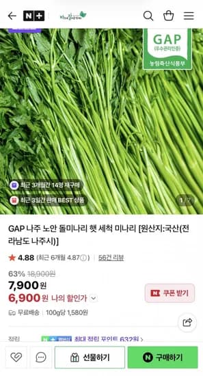 햇 세척 나주 노안 돌미나리 500g (6,900원/무료)