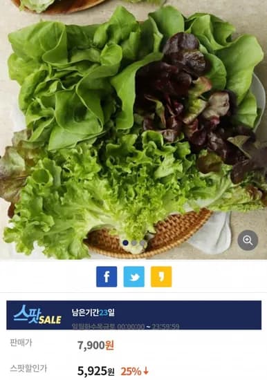 유럽 샐러드용 쌈채소 1kg 5-6종 (5,95원/무료)2