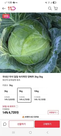 제주 양배추 5키로 6,720원 무배