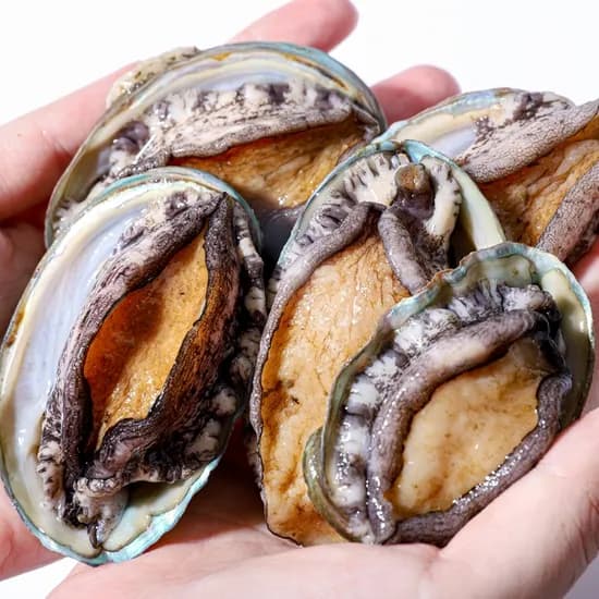 활전복 kg 대사이즈 (21,520원/무료)1