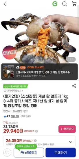 제철 활 암꽃게 kg (3~4미) 국내산 알배기 봄꽃게(29,940/무배)1