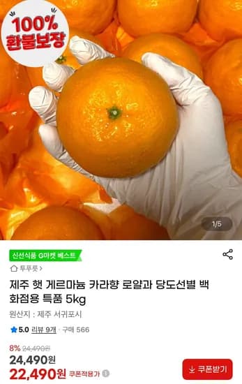 제주 게르마늄 카라향 로얄과 특품 5kg