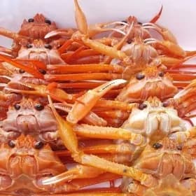 울진 후포 박달홍게 3kg+1kg 총 4kg 8 ~11미 수율80% 이상 자숙 산지직송 (19,530원/무배)